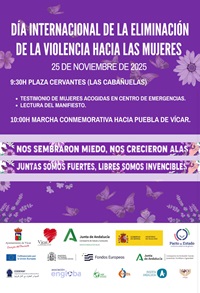 DÍA INTERNACIONAL DE LA ELIMINACIÓN DE LA VIOLENCIA HACIA LAS MUJERES